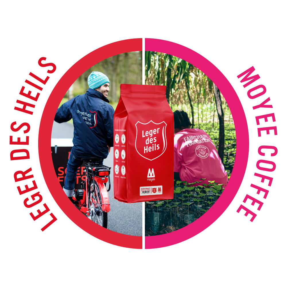 09_50-50.webp