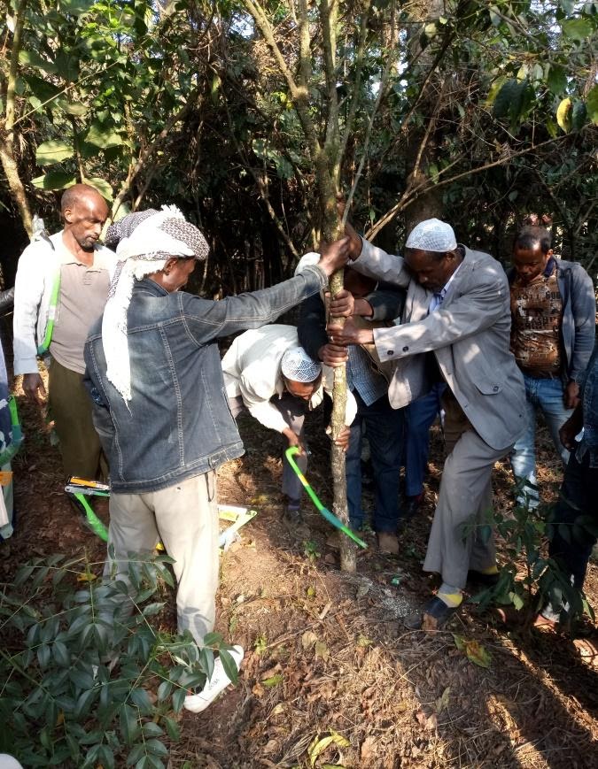 farmer training