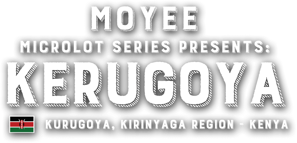 Microlot Kerugoya
