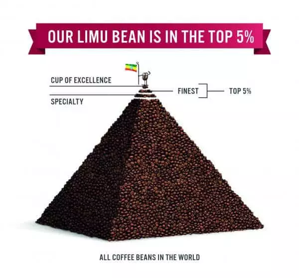 best coffee bean