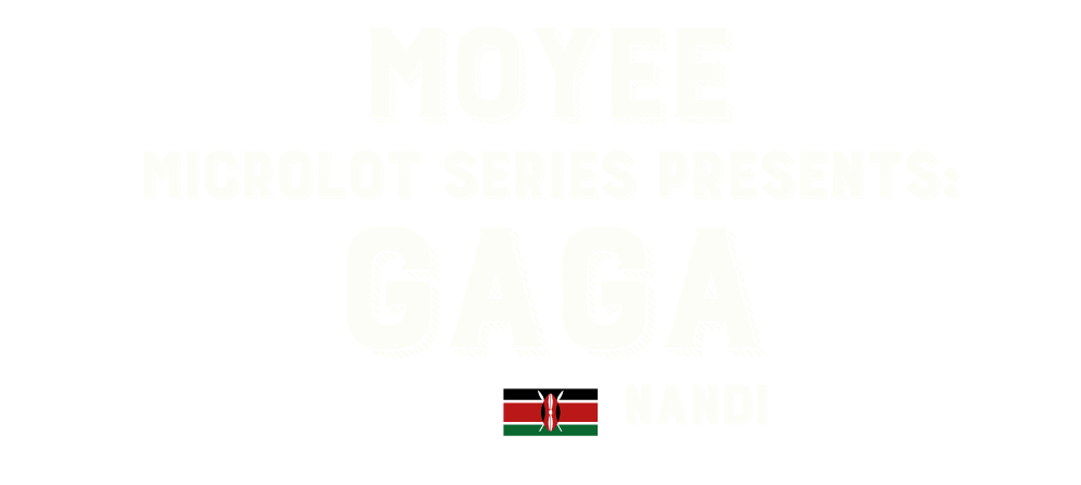 Microlot Gaga